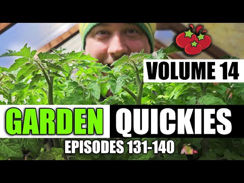 Garden Quickies Volume 14 - Episodes 131 to 140