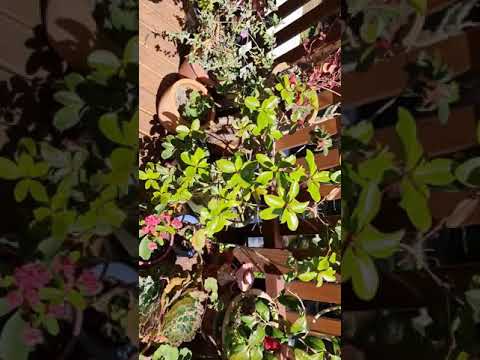 ImpressioNZ Outdoors video.