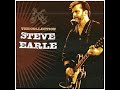 The Seeker by Steve Earle
