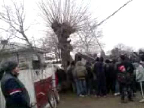 X5 de preerie in Colibasi Giurgiu