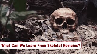 What Can We Learn From Skeletal Remains?, Akara Archeology