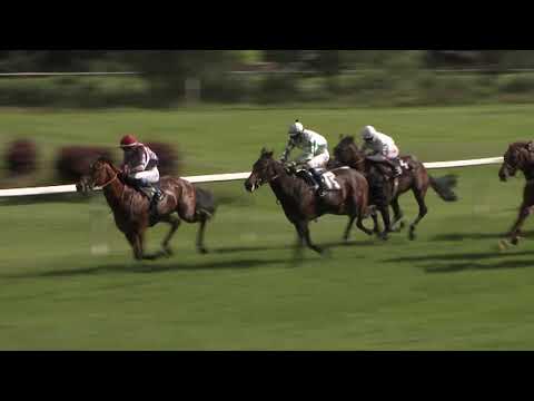 7. dostih - Cena společnosti Tipsport - dostihy Karlovy Vary 5. 7. 2020