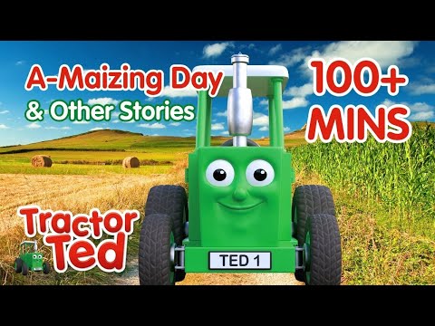 Toot Toot! 🚜 Tractor Ted's MEGA Summer Compilation! | Full Episodes