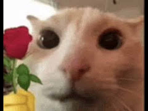 Solo Master Acquisition | Void Warlock