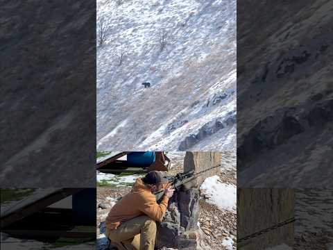 1119 yards on the bear target with the new seekins PH3 NRL in 6.5CM