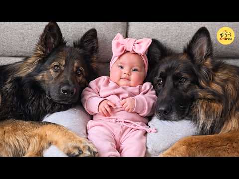 YouTube 썸네일