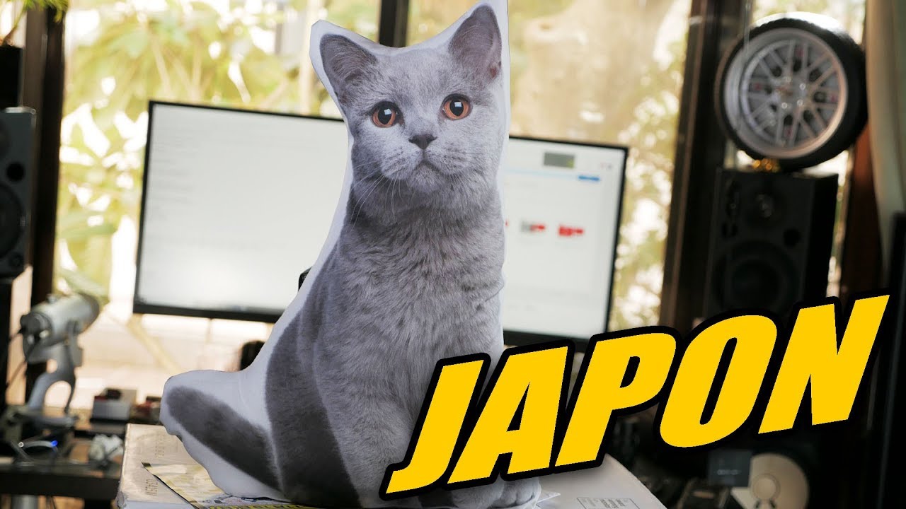 TENGO UNA NOTICIA IMPORTANTE | JAPON [By JAPANISTIC]