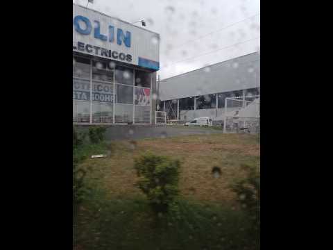 El temporal en Moreno: Cayeron árboles, postes, paredones y un vecino se salvó milagrosamente