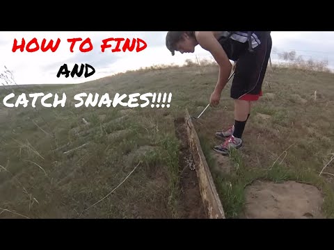 YouTube Video lVLQCKWmH9w