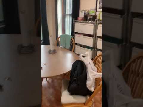 video 1
