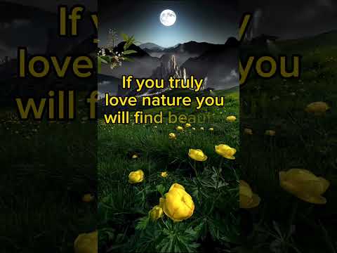 Quote about nature | nature beauty | nature love | life quotes  🪷🌷