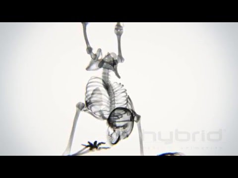 X ray Body in Motion   Yoga