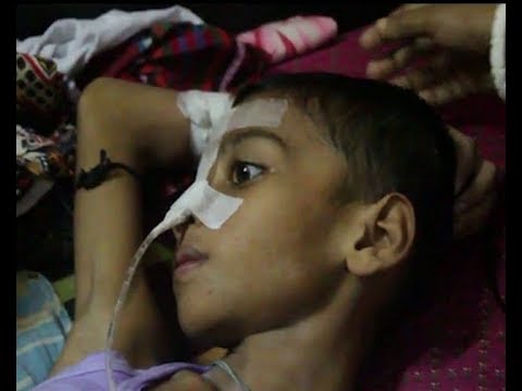 পাখির ছানা বাঁচাত ৩ মাস ধরে হাসপাতালে লিয়ন