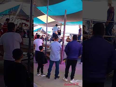 BOXEO AMATEUR EN SAN MARTIN PERAS JUXTLAHUACA FIESTA PATRONAL 2025