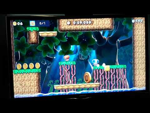 26.588 ninji speedrun SMM2 (the 10 coin in the deep woods)