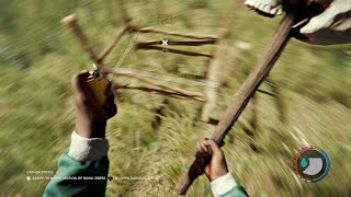 The Forest- Shark Problem