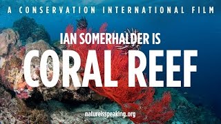 Nature Is Speaking - Ian is Coral Reef (CI)