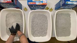 EVERCLEAN KEDİ KUMU PERFORMANS TESTİ !!! ( KESİN İZLEMELİSİNİZ ))