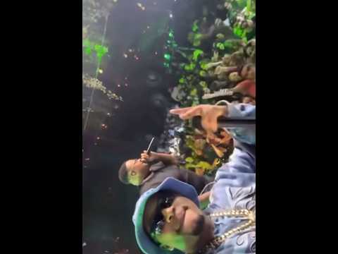 OROCHI E KEVIN O CHRIS AO VIVO EM SHOW LOTADO 😱 #kevinocris #orochi #mainstreet ( mundo do trap )