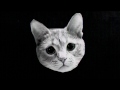 Mr. Kitty - After Dark (MonstrorMusicVideo) 