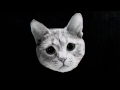 Mr. Kitty - After Dark (MonstrorMusicVideo) 