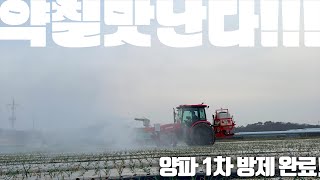 트랙터로 양파 1차 방제 완료 feat 금용 살포기 + 마차바퀴