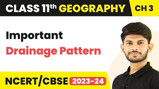 Important Drainage Pattern - Drainage System | Class 11 Geography