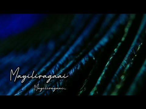 Mayilirage mayilirage whatsapp status💙 | Cover song | Priyanka | Karthik devaraj |