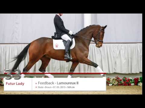 33 Futur Lady Stute v.  Feedback - Lamoureux II