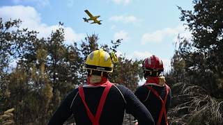 Waldbrand nahe Narbonne: 100 Hektar in Flammen