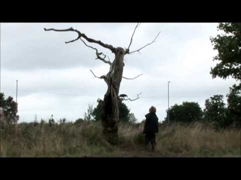 Guy Ben Ner | Second nature | 2008