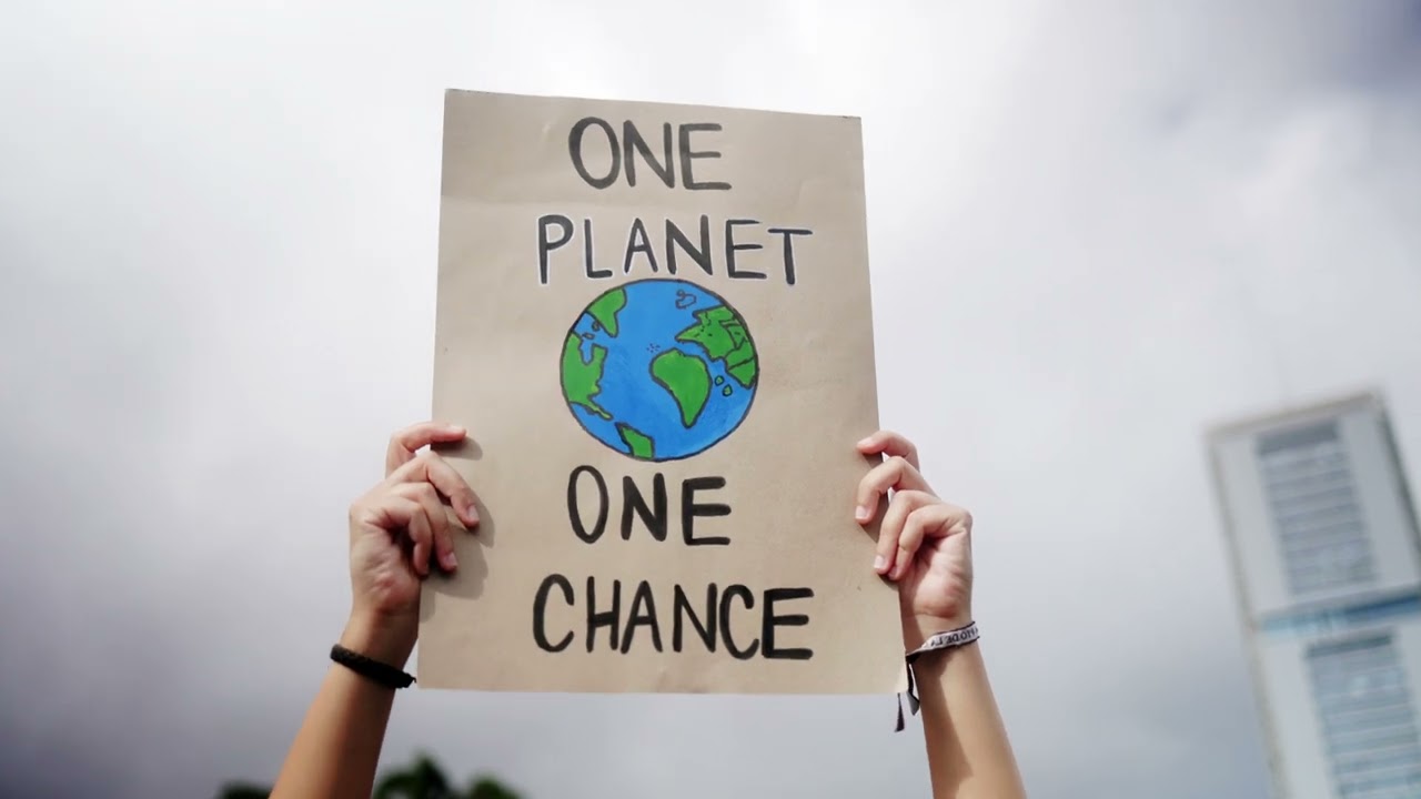 Dé Woo Coördinator, Transparant In Balans!