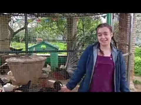 Internships · Cuna School Farm · Spanish Institute for Global Education