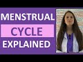 Menstrual Cycle Phases Female Reproductive System Follicular Luteal Proliferative Secretory