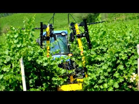 Alternálógép, szőlő alternáló csonkázó, kasza 195 cm / Tecnovict Mod.406-195