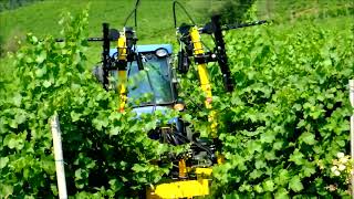 Alternálógép, szőlő alternáló csonkázó, kasza 195 cm / Tecnovict Mod.406-195