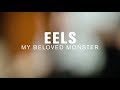 Eels - My Beloved Monster (Live at The Current)