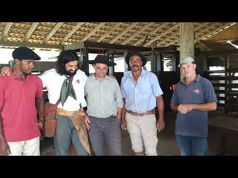 estância carapuça cristal