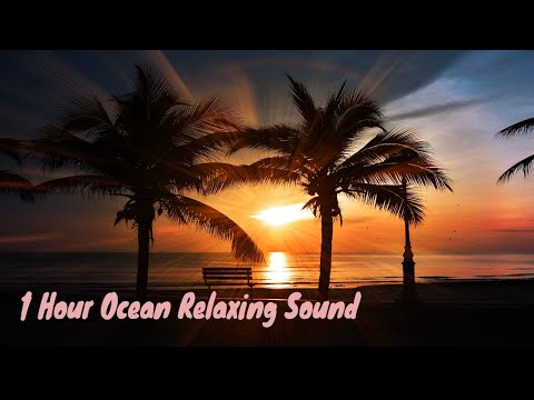Sunset Ocean Waves | Relaxing sound for | Focus | study | Chill | sleep