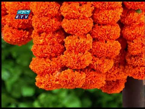করোনাকালে ধস নেমেছে ফুল ব্যবসায়
