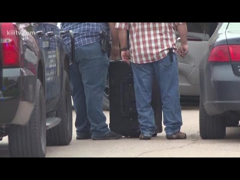 Kingsville Tx Busted