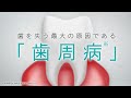 動画を再生
