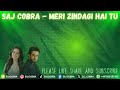 MERI ZINDAGI HAI TU | SAJ COBRA | ASIM AZHAR | SABRI SISTERS | THE LATEST PAKISTANI OST REMIX