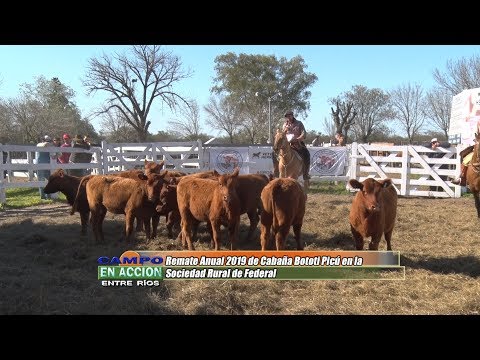 Remate Anual 2019 de Cabaña Bototi Picú -  Nicasio Tito