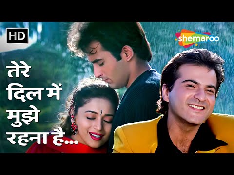 Tere Dil Mein Mujhe Rehna Hai — watch video