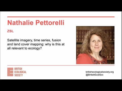 Ecology Live with Nathalie Pettorelli- Satellite imagery, time series, fusion and land cover mapping