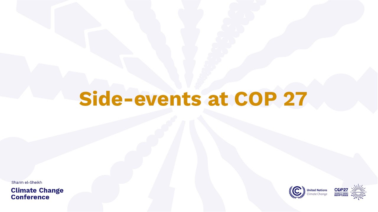 Keeping 1.5oC alive: opportunities & challenges for CO2 removal and storage in the Global South