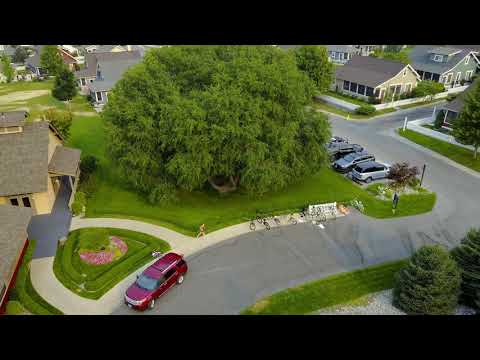 Veranda Beach Ultimate Challenge 2017 Large