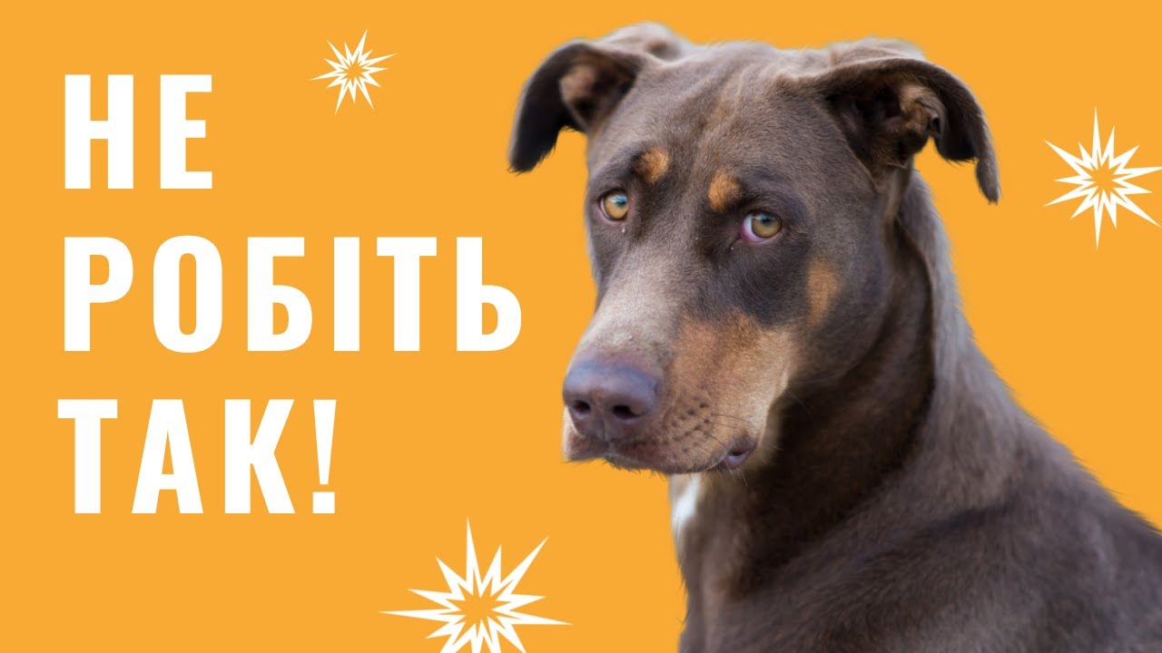 YouTube video preview