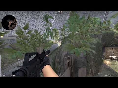 Biome Map Bugs CSGO